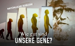 Wie gut sind unsere Gene? - Das Wunder menschlicher Anpassung