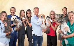 Australiens Tierrettung - Einsatz am Bondi Beach