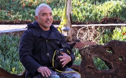 Cesar Millan: Guter Mensch, guter Hund