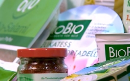 Die 2000er - Jahrzehnt der Spaltung