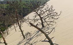 Strände Europas