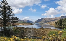 Irischer Kompass