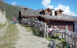 Bergbäuerinnen in Südtirol – Große Herausforderungen