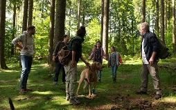 Tiere bis unters Dach