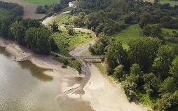 Neues Leben nach der Ahrflut - Die Rückkehr der Natur
