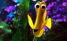 Findet Nemo