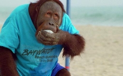 Baywatch: Die Rettungsschwimmer von Malibu