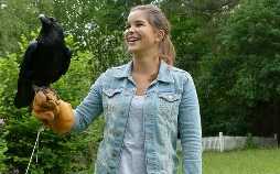 Anna und die wilden Tiere