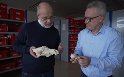 Terra X Harald Lesch