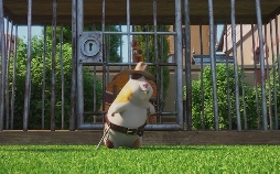 Die Coop Troop