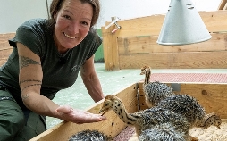 Hofgeschichten - Ackern zwischen Alpen und Ostsee