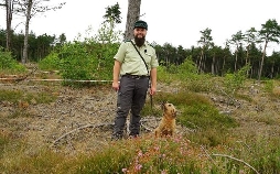 Die Nordreportage