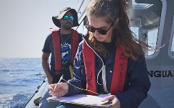 Portugal im Wandel: Zwischen Küste, Klima und Kultur