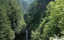 Wilde Inseln