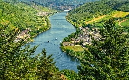 Die Mosel bei Trier