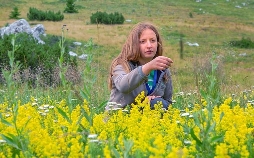 Raue Welten - Wilde Schönheiten