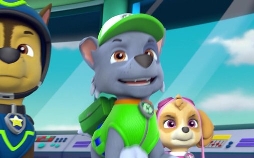 Paw Patrol