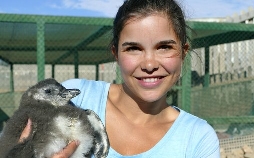 Anna und die wilden Tiere