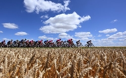 Radsport: Tour De France der Frauen