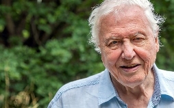 Ein perfekter Planet