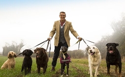 Hunde außer Kontrolle - Ein Coach für alle Felle