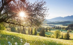 Schwaben & Altbayern
