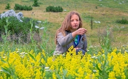 Raue Welten - Wilde Schönheiten