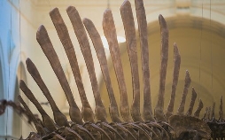 Rückkehr der Urzeit-Giganten