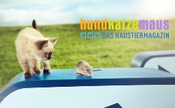 hundkatzemaus - Das Haustiermagazin