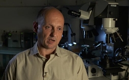 Medical Detectives - Geheimnisse der Gerichtsmedizin