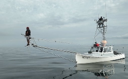 Harpoon Hunters