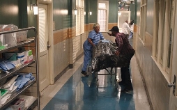 NCIS: New Orleans