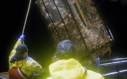 Fang des Lebens - Der gefährlichste Job Alaskas