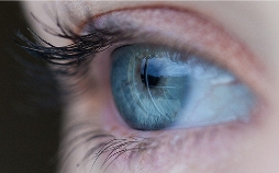 Gutes Sehen - was wir für gesunde Augen tun müssen
