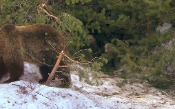 Expeditionen ins Tierreich