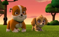 Paw Patrol