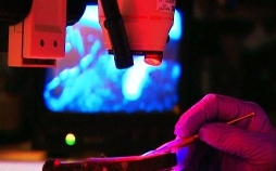 Medical Detectives - Geheimnisse der Gerichtsmedizin