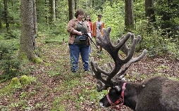Tiere bis unters Dach