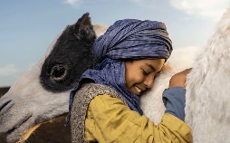 Zodi und Tehu, Brüder der Wüste