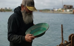 Goldtaucher der Beringsee