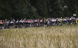 Radsport: Tour De France der Frauen