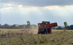 Unsere eigene Farm - Hier blüht uns was