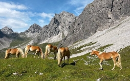 Biken in den Bergen Vorarlbergs - Vom Brandnertal ins Montafon