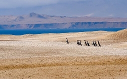 Wildes Peru
