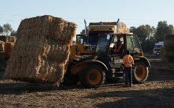 Outback Truckers