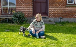 Inselhopping in Dänemark