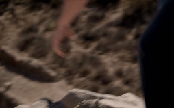 Criminal Minds