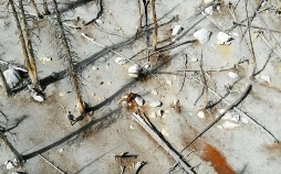 Satellitenkiller - Bermuda-Dreieck im Weltraum