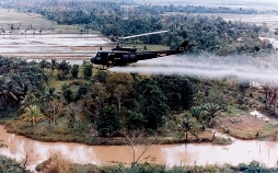 Vietnam. Geburt einer Nation