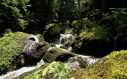 Erlebnis Österreich